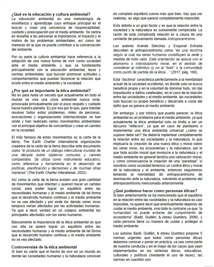 Pagina de Investigación Ética Ambiental